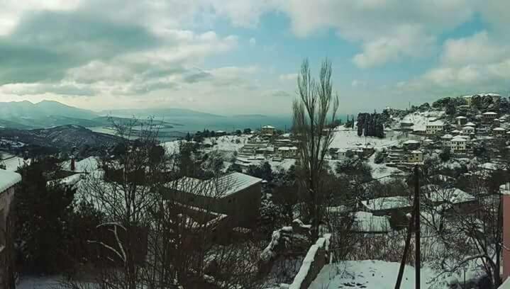 Atrium - Lafkos Villa Dış mekan fotoğraf