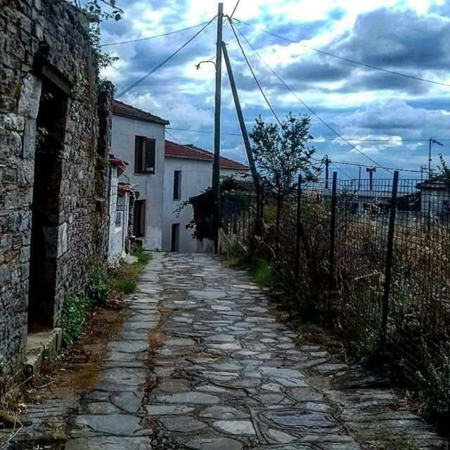 Atrium - Lafkos Villa Dış mekan fotoğraf